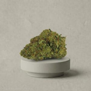 GELATO CBD indoor premium