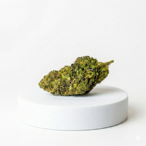 FRUIT CAKE hidropónica