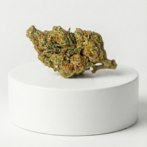 Phantom CBD hidropónica