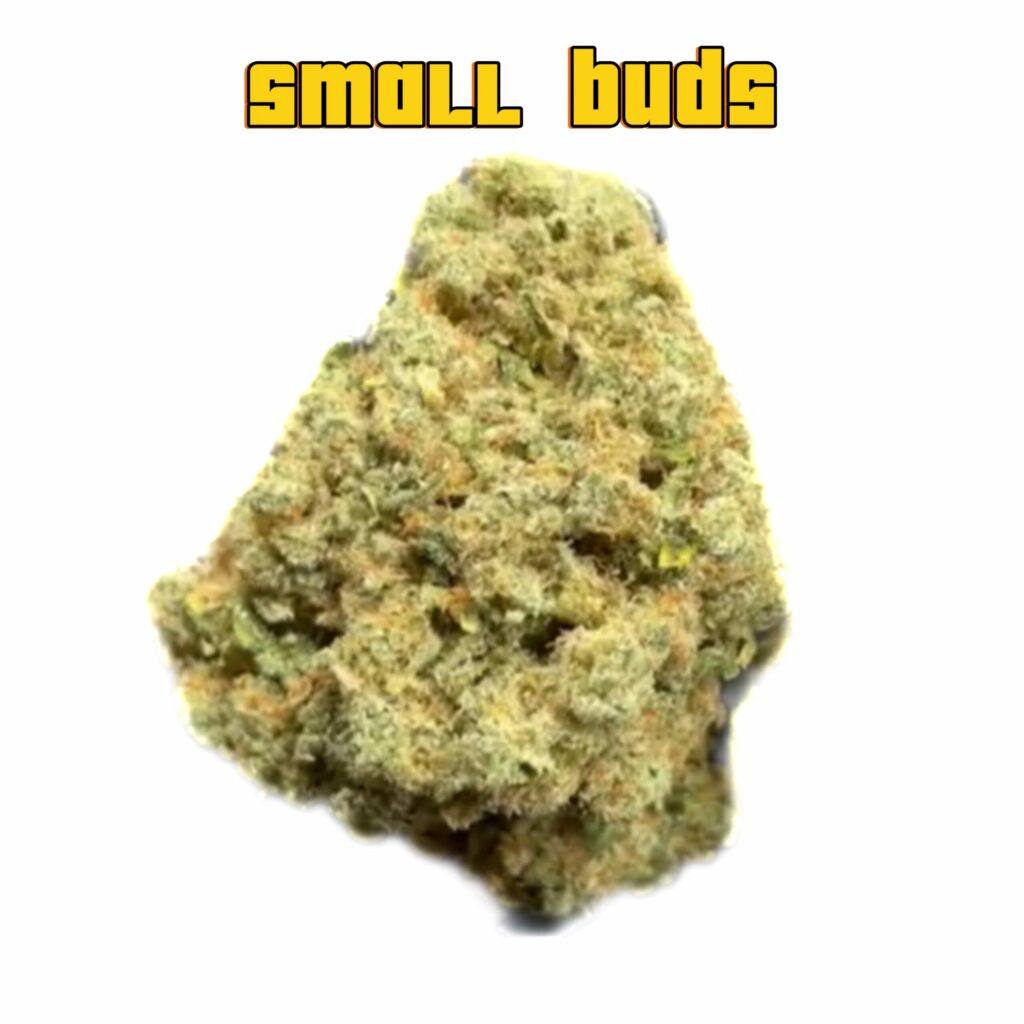 SMALLBUDS AMNESIA HIDRO