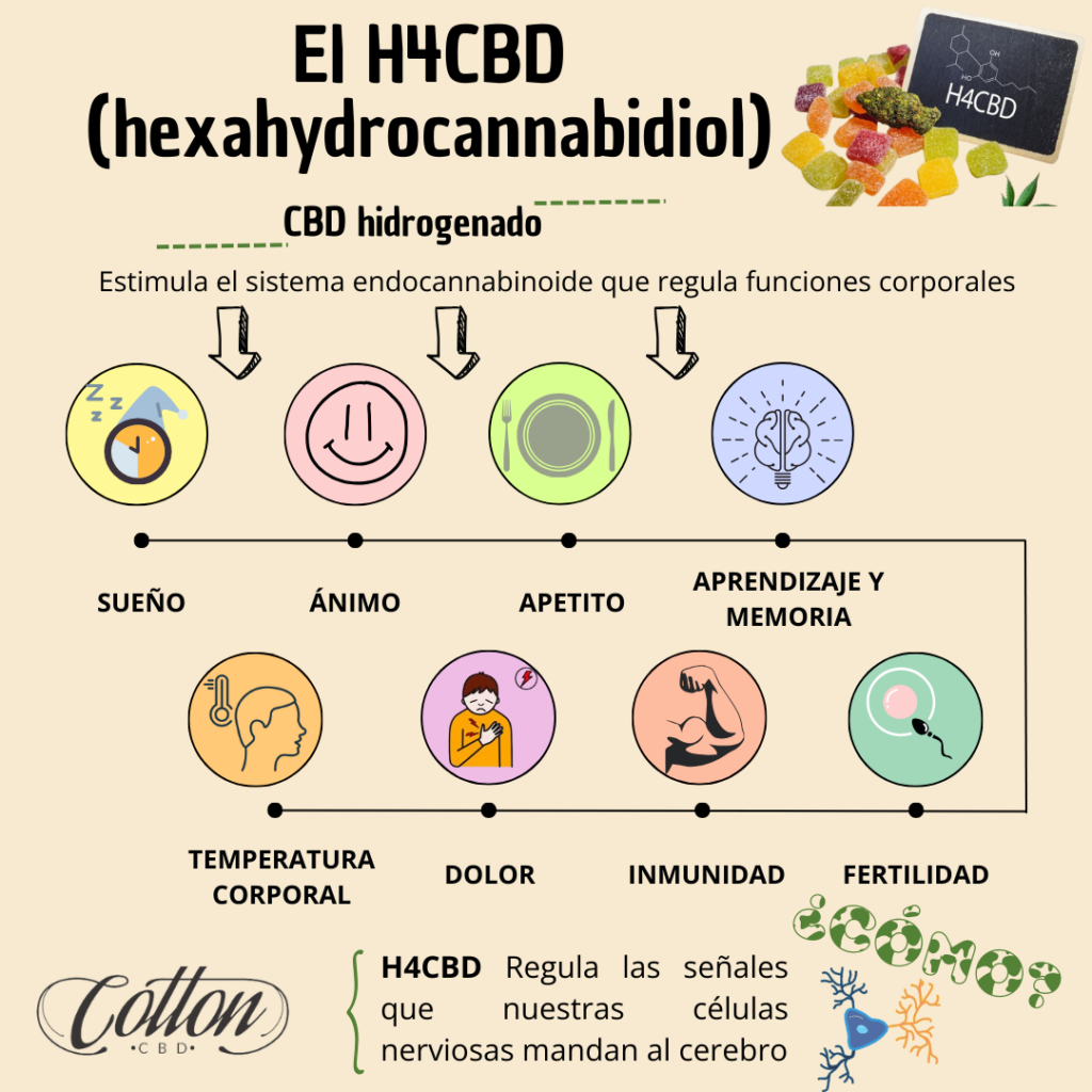 h4cbd