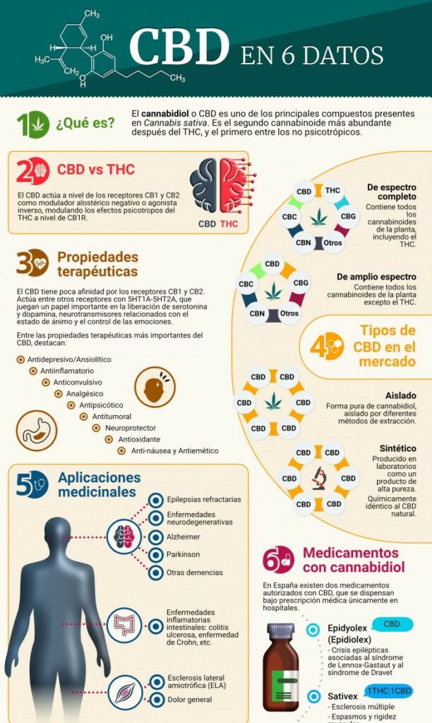 CBD EN 6 DATOS