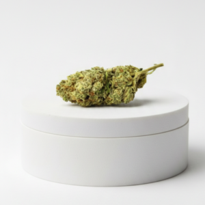 Northern lights hidropónica 13% CBD