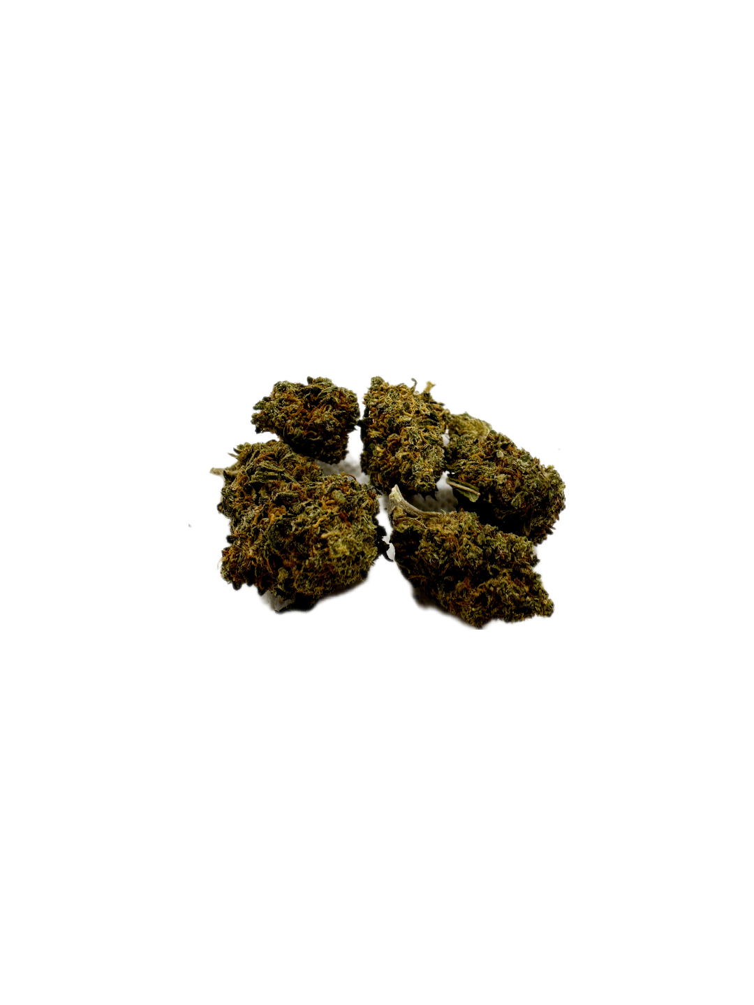 Small buds gelato 10g